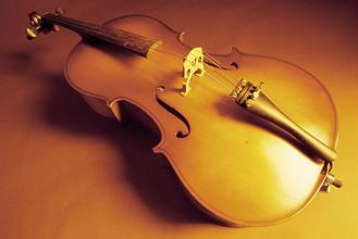 2016年上海音乐家协会夏季大提琴考级